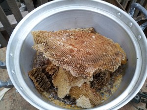 日本ミツバチの自家製 蜜蝋ワックスの作り方 Roughish